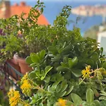 Charming With Terrace And Old Town View - One Bedroom With Terrace * דוברובניק