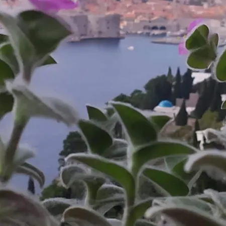 Apartamento Charming With Terrace And Old Town View - One Bedroom With Terrace Dubrovnik
