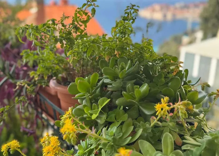 Charming With Terrace And Old Town View - One Bedroom With Terrace * Ντουμπρόβνικ