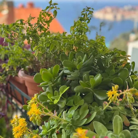 Charming With Terrace And Old Town View - One Bedroom With Terrace * ドゥブロブニク