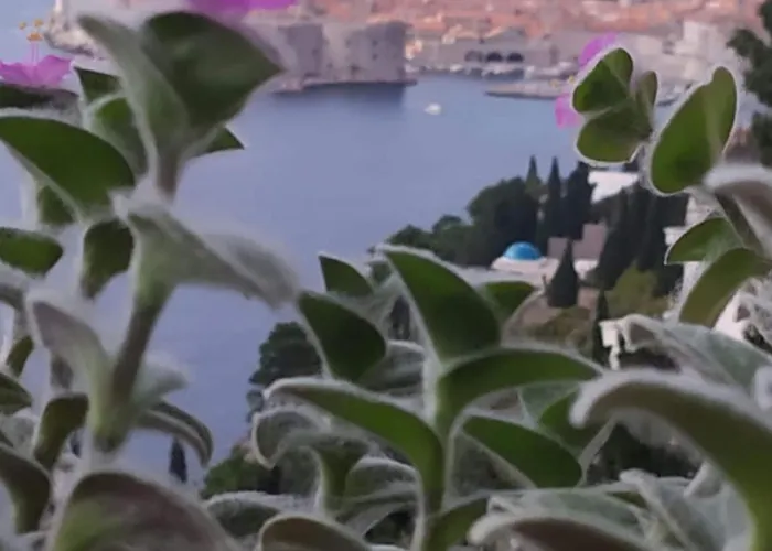 Appartement Charming With Terrace And Old Town View - One Bedroom With Terrace Dubrovnik